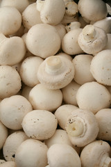 fresh uncooked mushrooms