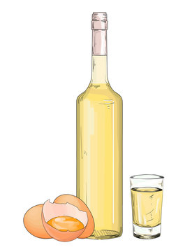 Glass bottle and shot with egg liqueur on a white background. Vector illustration isolated