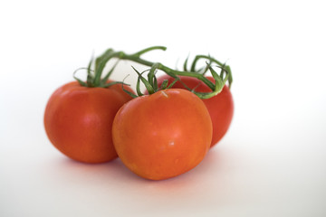 three red tomatoes on a branch on a white background