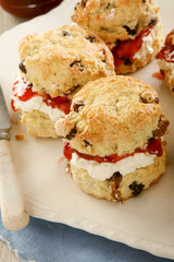 fresh baked scones