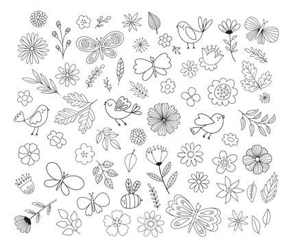 Doodle flowers, birds, butterflies. Cute hand drawn floral illustrations. Vector design elements.