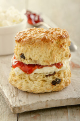 fresh baked scones