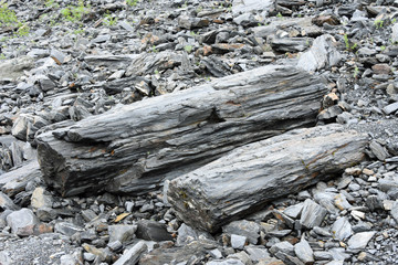 Worthington Glacier adjacent to Thompson Pass in southeastern Alaska