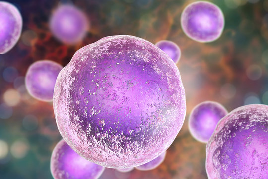 Human cells on colorful background