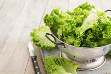 fresh salad leaves