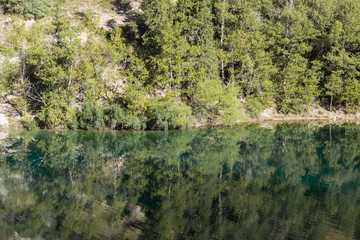 reflection of conifers in the water, summer landscape, Kazakhstan, Lake Kolsai