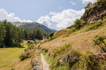 Zermatt, Furi, Zmutt, Matterhorn, Alpen, Wallis, Walliser Berge, zum See, Blatten, Wanderweg,...