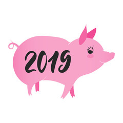 Illustration of pig as symbol of Chinese zodiac sign. 2019 Eastern pig year. Fun brush pink vector image for banners, greeting card, poster design.