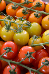 mixed heritage tomatoes