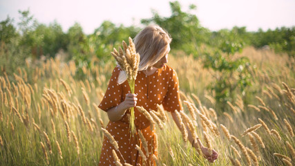Beautiful young woman walks in the field collects a bouquet of flowers and spikelets. Portrait of attractive female on grass at sunset or sunrise 