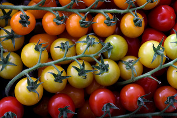 mixed heritage tomatoes