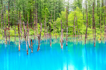 Blue pond