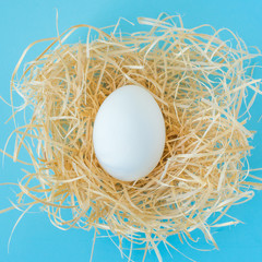 Egg white on wooden shavings