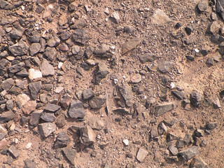 Soil and rocks as background