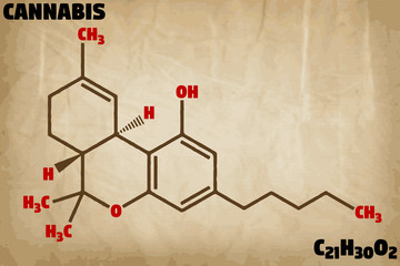 Detailed infographic illustration of the molecule of Cannabis.