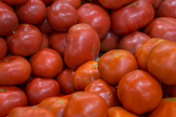 big tomatoes close up