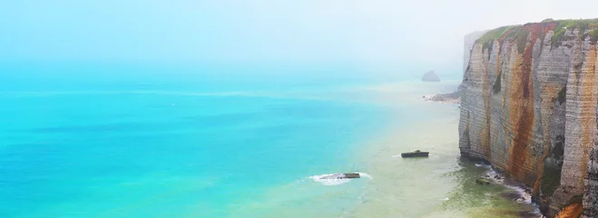 Foto op Plexiglas Schilderachtig panoramisch landschap op de kliffen van Etretat. Natuurlijke verbazingwekkende kliffen. Etretat, Normandië, Frankrijk, La Manche of het Kanaal. Kust van de Pays de Caux, zomerdag, zeehorizon © ANGHI