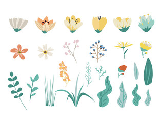 Flowers and leaf. hand drawing style vector illustration flat design