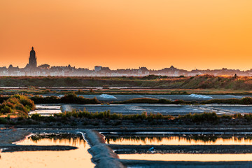 salt marsh at sunset