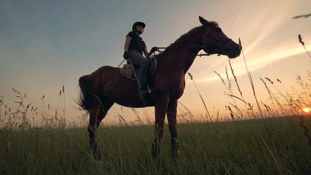 Rider with a whip on a horse, bottom view.