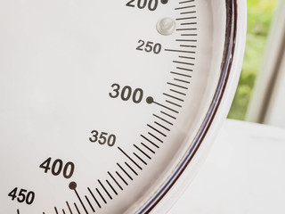 A kilogram of scales