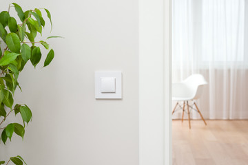Fototapeta premium The wall switch is in the bright, contemporary interior. Open the door to the room