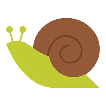 Vector flat style illustration of snail. Icon for web. Isolated on white background.