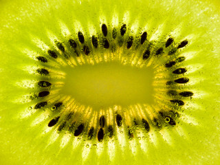 Close up texture background Kiwi fruit