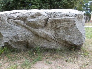 выбитая на камне птица