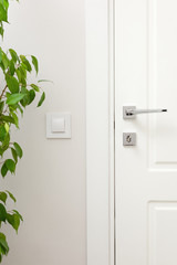 Close-up elements of modern interior. Wall switch and interior door handle.