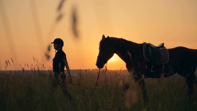Human and animal love concept. A woman leads her horse through a field, side view.