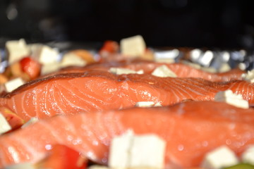 Lachsfilet auf Gem&uuml;se mit Schafsk&auml;se