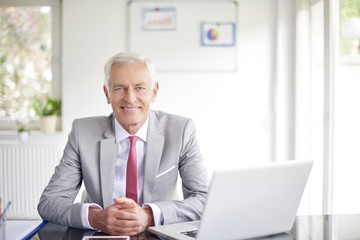 Senior businessman using laptop in the office