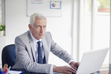 Executive senior businessman working in the office