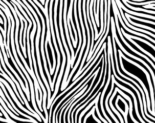 Fototapeta na wymiar White and black grunge pattern. Background. Brush. Vector.