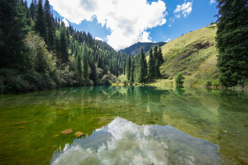 reflection of conifers in the water, summer landscape, Kazakhstan, Lake Kolsai