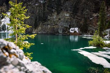 Detail of water in green high altitude mountain lake in Julian Alps, Slovenia