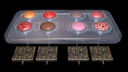 Physiomimetic technology. Organs on a chip. 3d rendering 