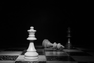 Scacchi fotografati su una scacchiera