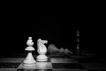 Scacchi fotografati su una scacchiera