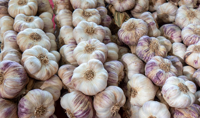 heap of organic garlic on market