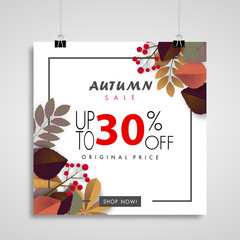 autumn sale banner background ,thirty percent sale off with colorful leaf on paper billboards vector or illustration