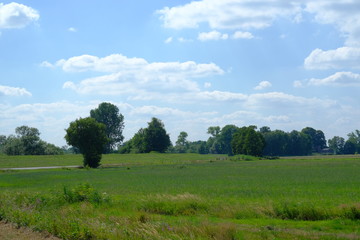 An der Wümme im Juli im Bremer Blockland