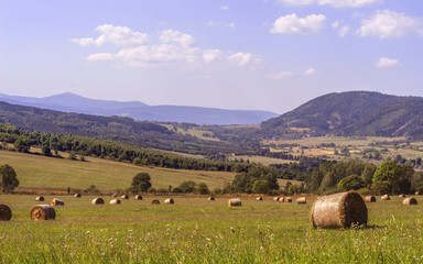 field with round bales of hay against the background of mountains