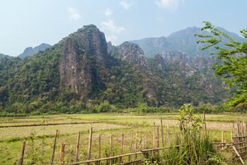 Beautiful view of a field and karst limestone mountains near Vang Vieng, Vientiane Province, Laos,...