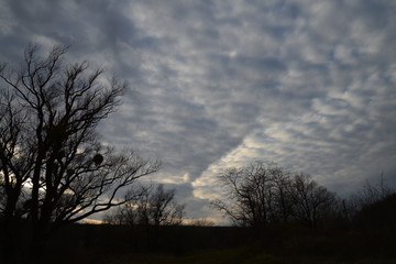 Dark clouds in the evening sky