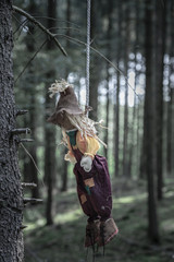 Scary toy hanged with a rope from a tree