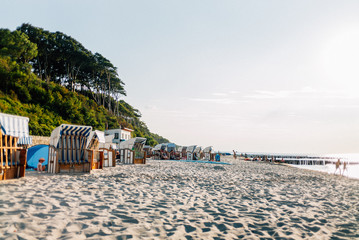 Gespensterwald im Ostseebad Nienhagen bei Rostock