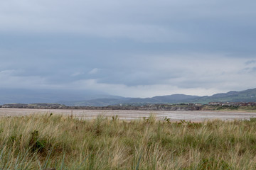 Looking beyond the grasses towards the mountains