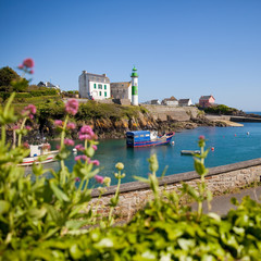 France > Bretagne > Finistère > Doëlan > Port